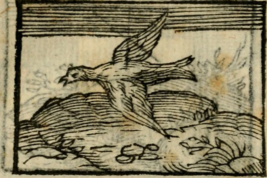 An illustration from Horou Apollonos Neiloou Hieroglyphika eklekta = Hori Apollinis Selecta hieroglyphica : imagines vero cum priuilegio, 1599, leaf 155