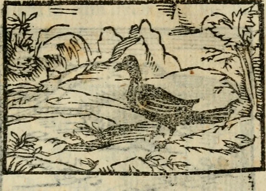 An illustration from Horou Apollonos Neiloou Hieroglyphika eklekta = Hori Apollinis Selecta hieroglyphica : imagines vero cum priuilegio, 1599, leaf 156