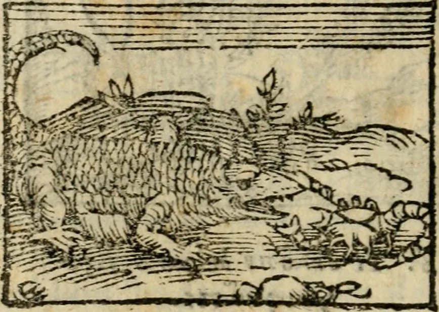 An illustration from Horou Apollonos Neiloou Hieroglyphika eklekta = Hori Apollinis Selecta hieroglyphica : imagines vero cum priuilegio, 1599, leaf 159