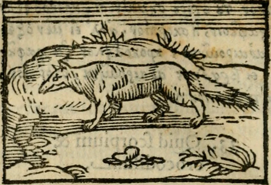 An illustration from Horou Apollonos Neiloou Hieroglyphika eklekta = Hori Apollinis Selecta hieroglyphica : imagines vero cum priuilegio, 1599, leaf 161