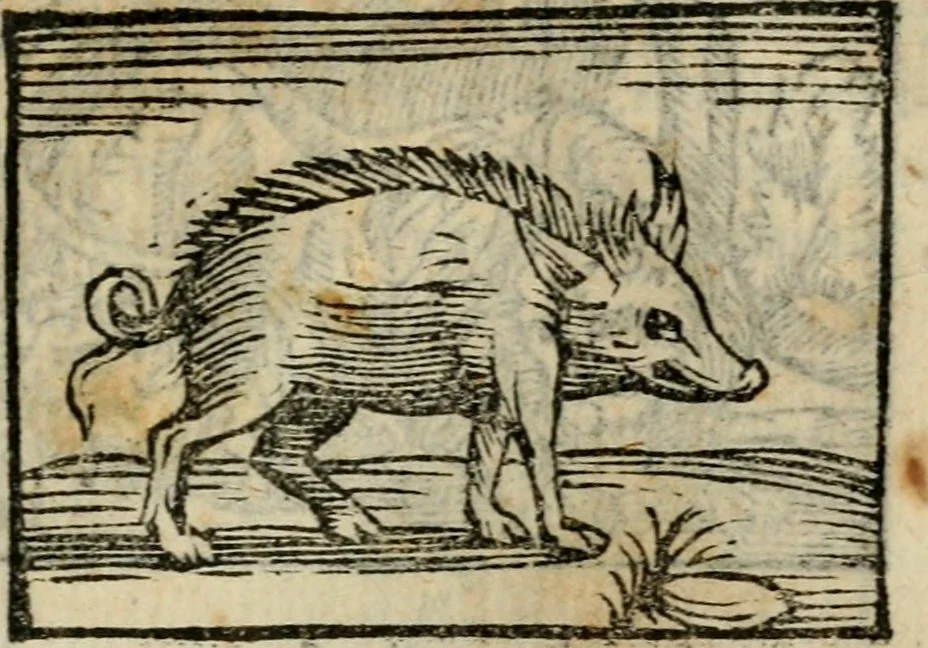 An illustration from Horou Apollonos Neiloou Hieroglyphika eklekta = Hori Apollinis Selecta hieroglyphica : imagines vero cum priuilegio, 1599, leaf 162