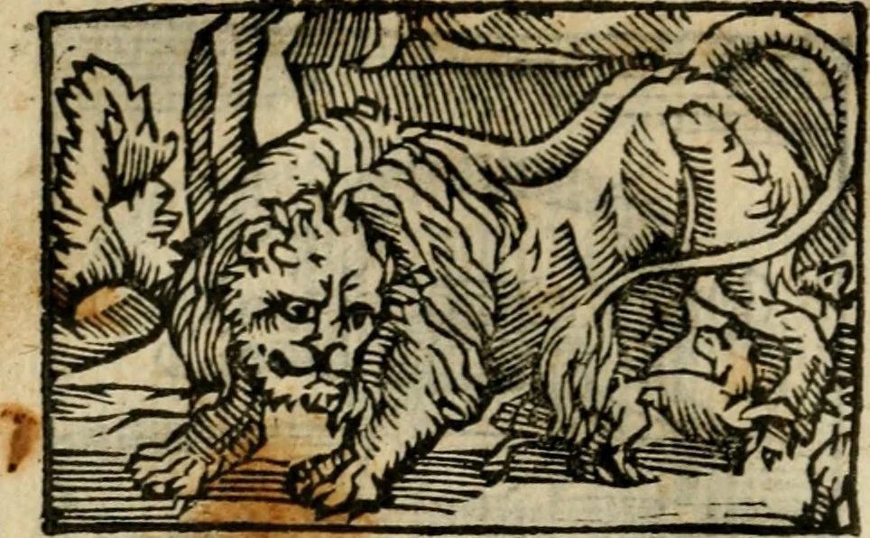 An illustration from Horou Apollonos Neiloou Hieroglyphika eklekta = Hori Apollinis Selecta hieroglyphica : imagines vero cum priuilegio, 1599, leaf 163