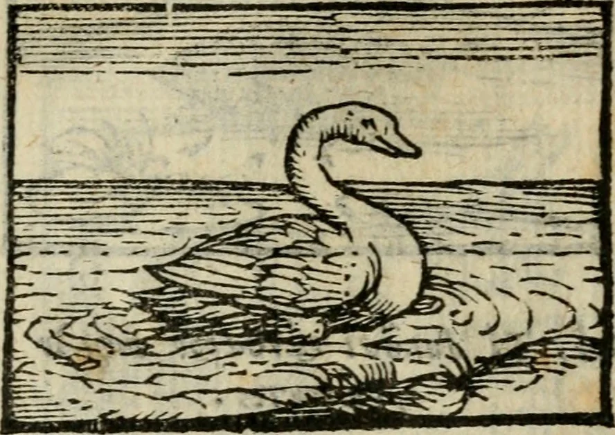 An illustration from Horou Apollonos Neiloou Hieroglyphika eklekta = Hori Apollinis Selecta hieroglyphica : imagines vero cum priuilegio, 1599, leaf 164