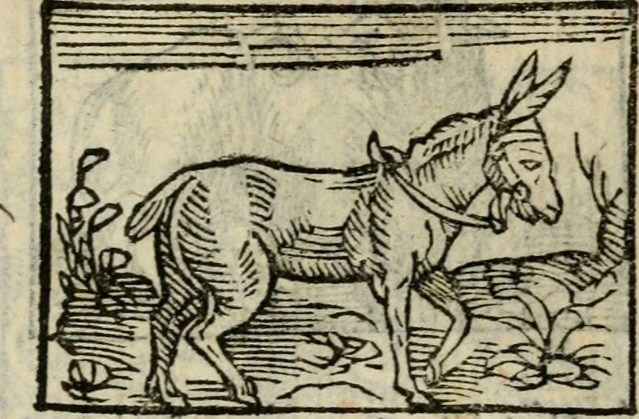 An illustration from Horou Apollonos Neiloou Hieroglyphika eklekta = Hori Apollinis Selecta hieroglyphica : imagines vero cum priuilegio, 1599, leaf 166