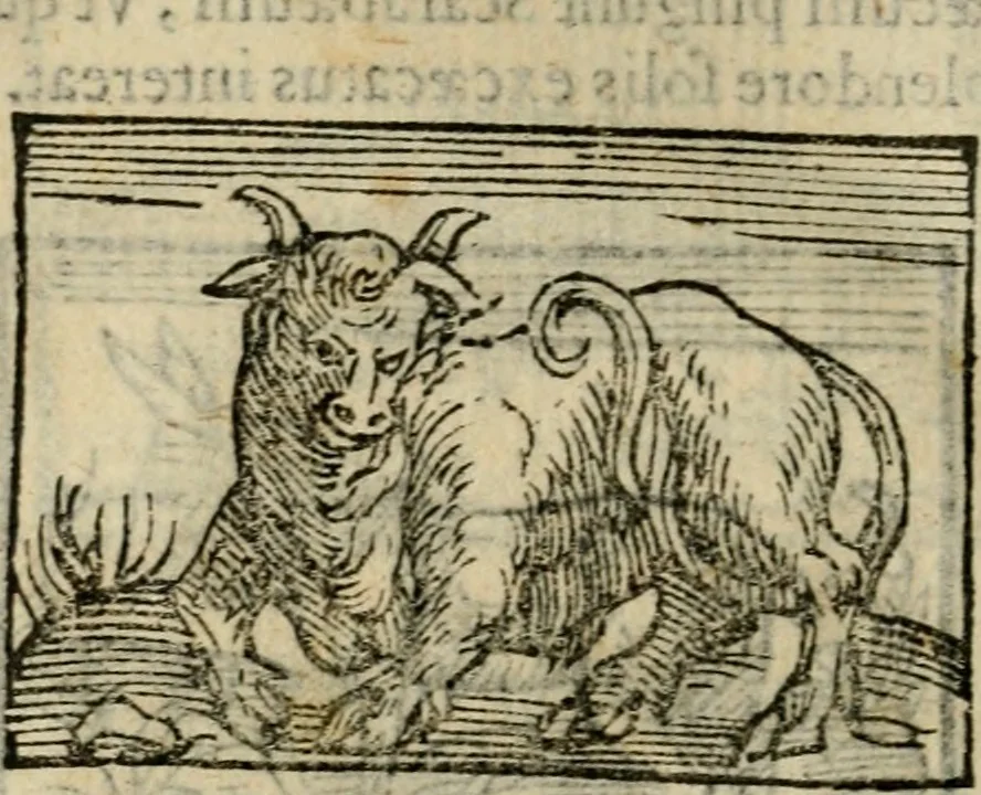 An illustration from Horou Apollonos Neiloou Hieroglyphika eklekta = Hori Apollinis Selecta hieroglyphica : imagines vero cum priuilegio, 1599, leaf 167