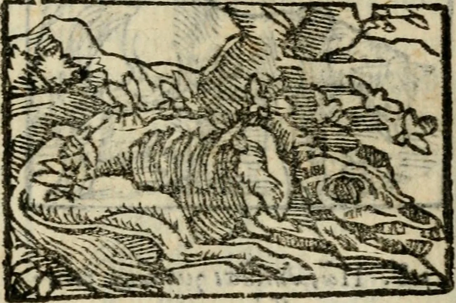 An illustration from Horou Apollonos Neiloou Hieroglyphika eklekta = Hori Apollinis Selecta hieroglyphica : imagines vero cum priuilegio, 1599, leaf 168