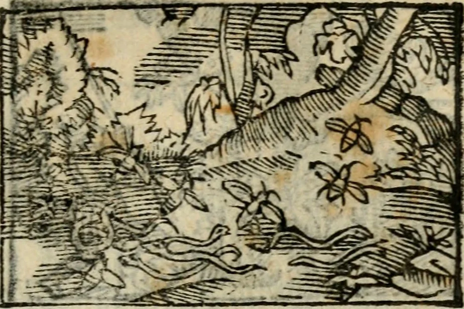 An illustration from Horou Apollonos Neiloou Hieroglyphika eklekta = Hori Apollinis Selecta hieroglyphica : imagines vero cum priuilegio, 1599, leaf 172