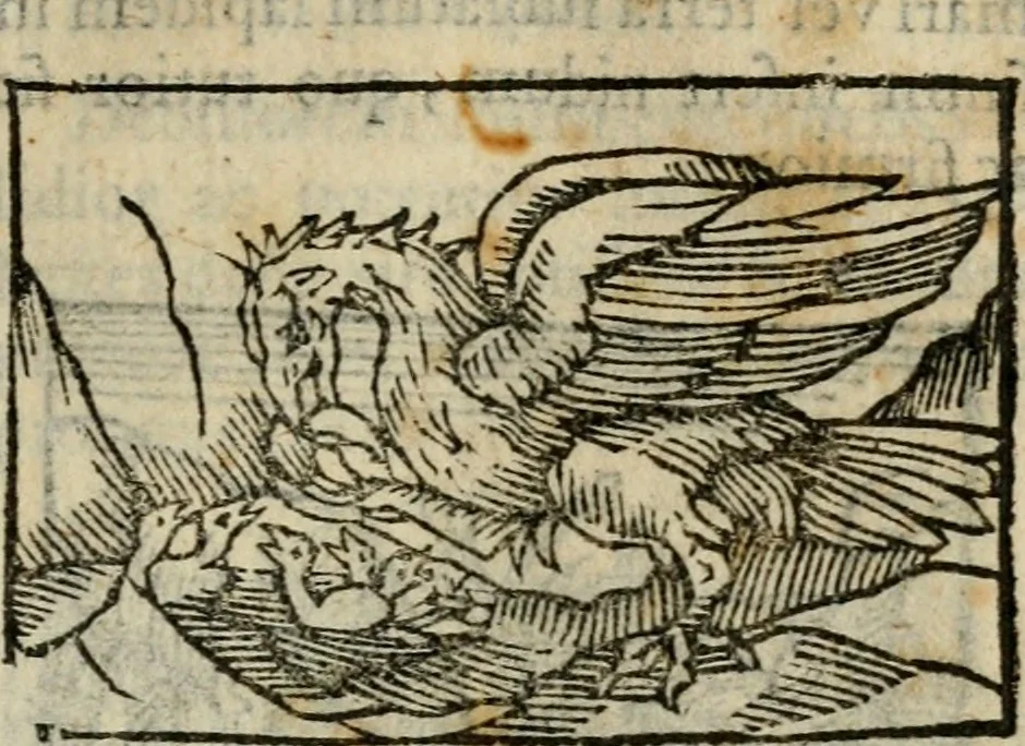 An illustration from Horou Apollonos Neiloou Hieroglyphika eklekta = Hori Apollinis Selecta hieroglyphica : imagines vero cum priuilegio, 1599, leaf 174