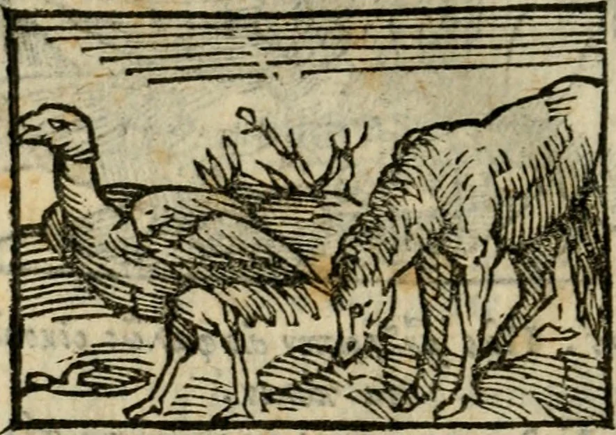 An illustration from Horou Apollonos Neiloou Hieroglyphika eklekta = Hori Apollinis Selecta hieroglyphica : imagines vero cum priuilegio, 1599, leaf 175