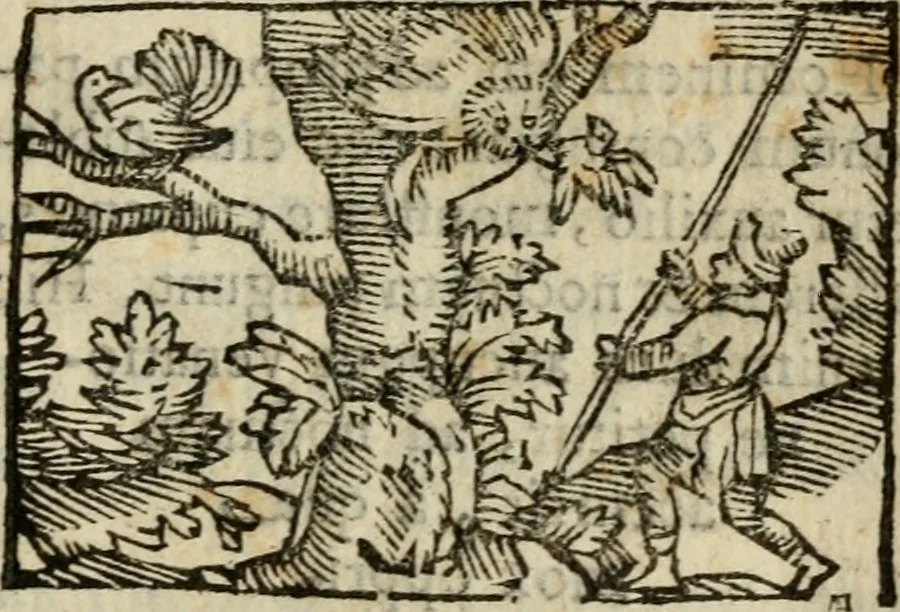 An illustration from Horou Apollonos Neiloou Hieroglyphika eklekta = Hori Apollinis Selecta hieroglyphica : imagines vero cum priuilegio, 1599, leaf 176