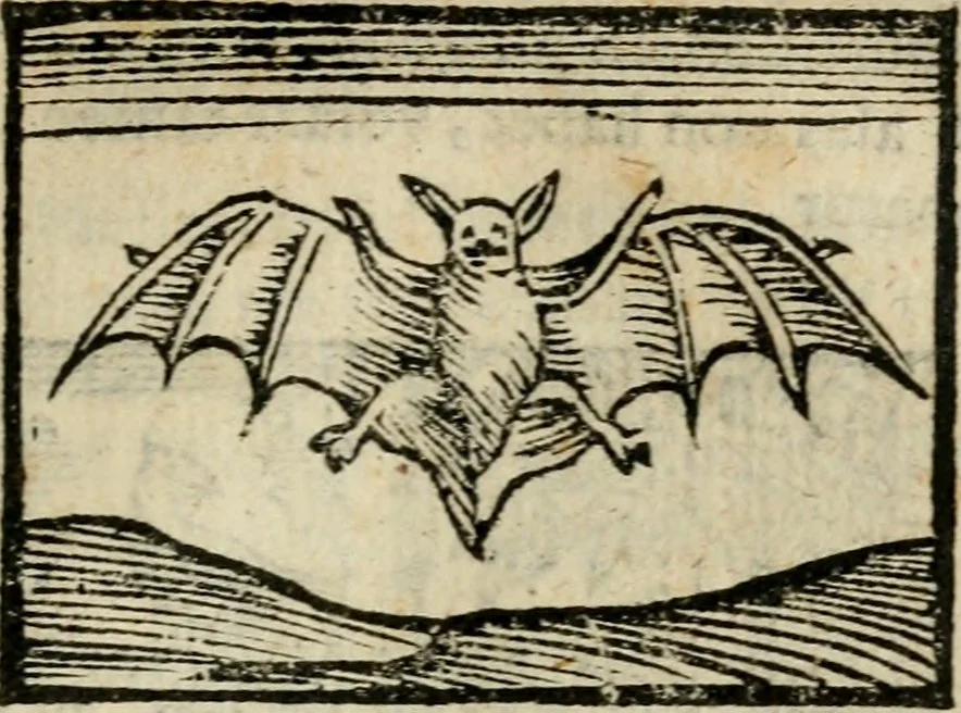 An illustration from Horou Apollonos Neiloou Hieroglyphika eklekta = Hori Apollinis Selecta hieroglyphica : imagines vero cum priuilegio, 1599, leaf 178