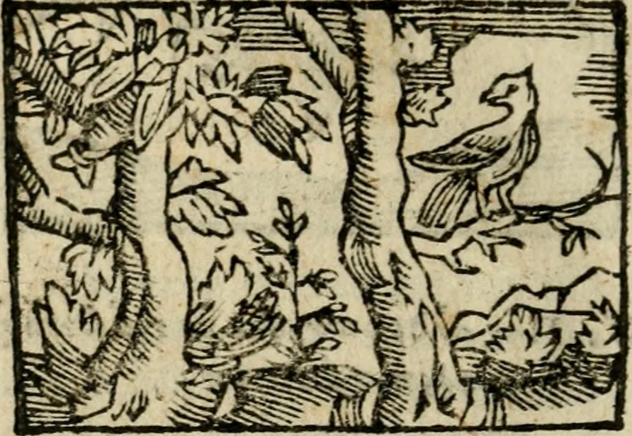An illustration from Horou Apollonos Neiloou Hieroglyphika eklekta = Hori Apollinis Selecta hieroglyphica : imagines vero cum priuilegio, 1599, leaf 179