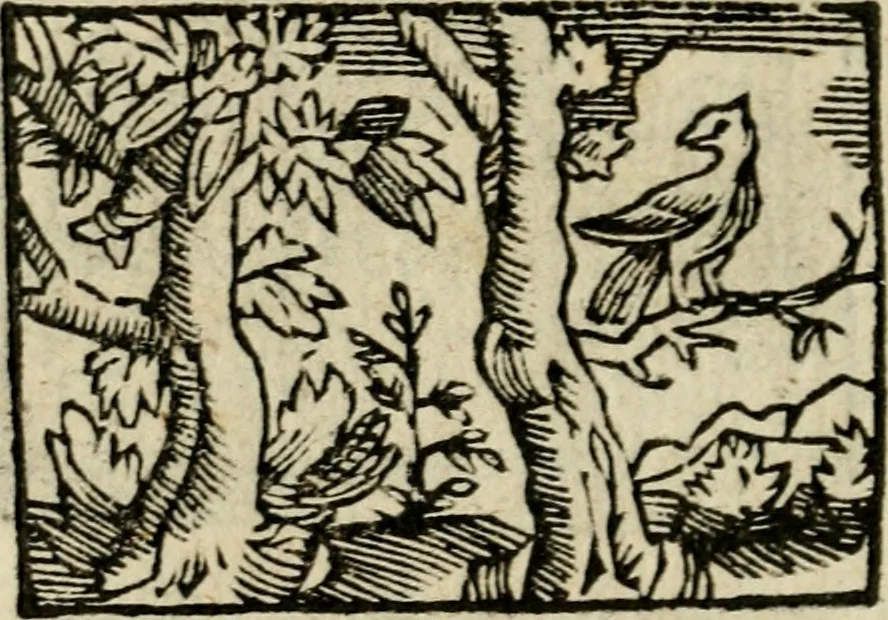 An illustration from Horou Apollonos Neiloou Hieroglyphika eklekta = Hori Apollinis Selecta hieroglyphica : imagines vero cum priuilegio, 1599, leaf 181