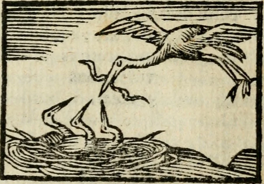 An illustration from Horou Apollonos Neiloou Hieroglyphika eklekta = Hori Apollinis Selecta hieroglyphica : imagines vero cum priuilegio, 1599, leaf 182