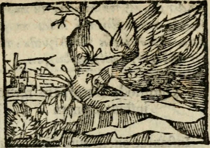 An illustration from Horou Apollonos Neiloou Hieroglyphika eklekta = Hori Apollinis Selecta hieroglyphica : imagines vero cum priuilegio, 1599, leaf 184