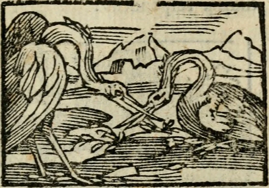 An illustration from Horou Apollonos Neiloou Hieroglyphika eklekta = Hori Apollinis Selecta hieroglyphica : imagines vero cum priuilegio, 1599, leaf 186