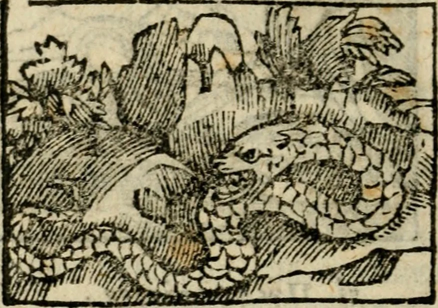 An illustration from Horou Apollonos Neiloou Hieroglyphika eklekta = Hori Apollinis Selecta hieroglyphica : imagines vero cum priuilegio, 1599, leaf 187