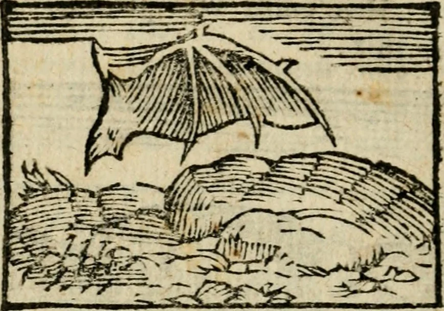 An illustration from Horou Apollonos Neiloou Hieroglyphika eklekta = Hori Apollinis Selecta hieroglyphica : imagines vero cum priuilegio, 1599, leaf 191