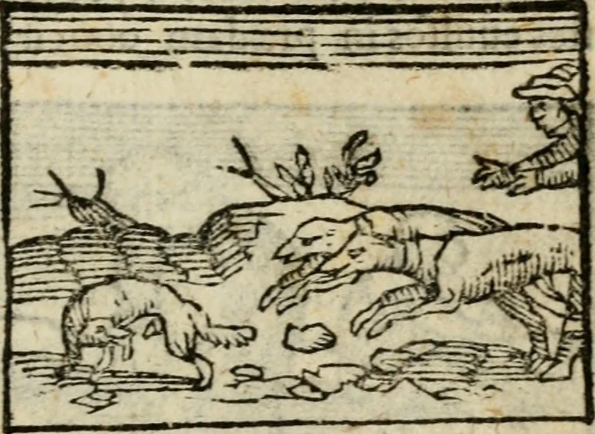 An illustration from Horou Apollonos Neiloou Hieroglyphika eklekta = Hori Apollinis Selecta hieroglyphica : imagines vero cum priuilegio, 1599, leaf 192
