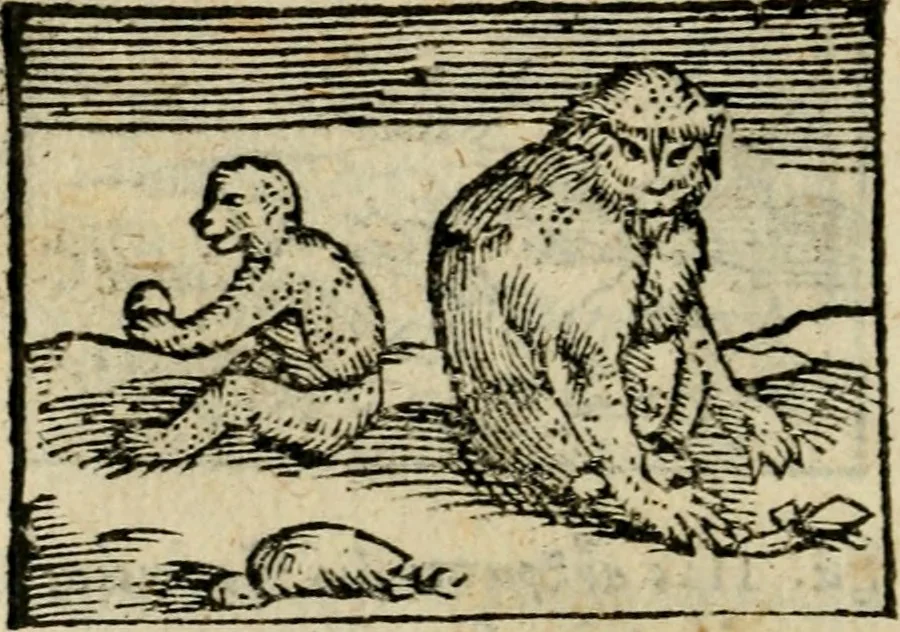 An illustration from Horou Apollonos Neiloou Hieroglyphika eklekta = Hori Apollinis Selecta hieroglyphica : imagines vero cum priuilegio, 1599, leaf 193