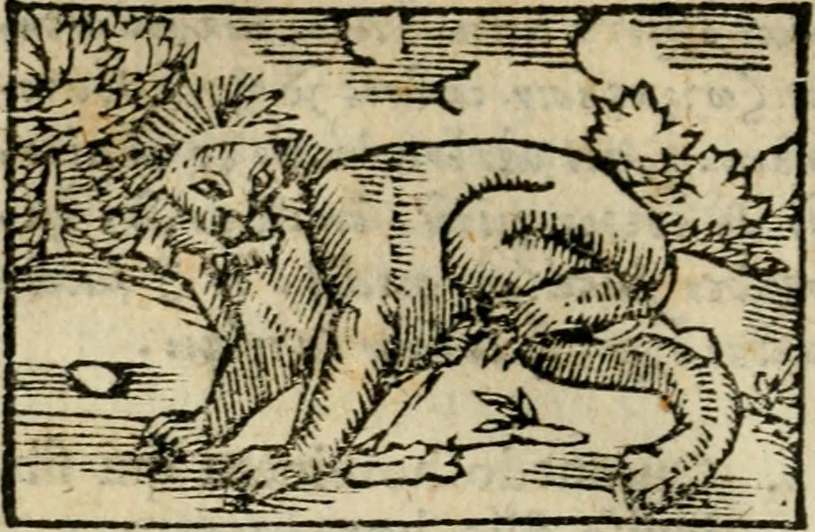 An illustration from Horou Apollonos Neiloou Hieroglyphika eklekta = Hori Apollinis Selecta hieroglyphica : imagines vero cum priuilegio, 1599, leaf 195