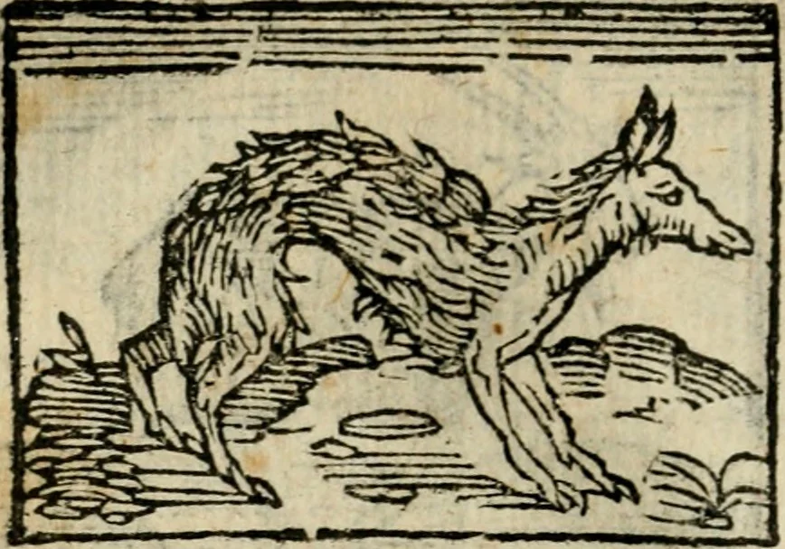 An illustration from Horou Apollonos Neiloou Hieroglyphika eklekta = Hori Apollinis Selecta hieroglyphica : imagines vero cum priuilegio, 1599, leaf 197