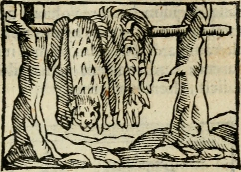 An illustration from Horou Apollonos Neiloou Hieroglyphika eklekta = Hori Apollinis Selecta hieroglyphica : imagines vero cum priuilegio, 1599, leaf 198
