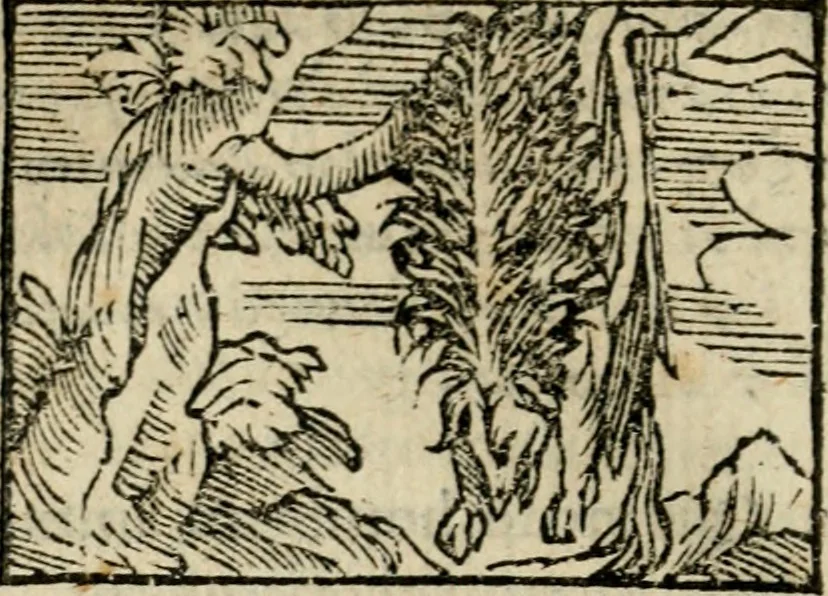 An illustration from Horou Apollonos Neiloou Hieroglyphika eklekta = Hori Apollinis Selecta hieroglyphica : imagines vero cum priuilegio, 1599, leaf 201