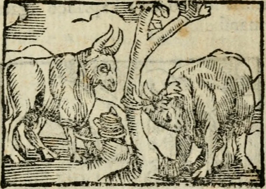 An illustration from Horou Apollonos Neiloou Hieroglyphika eklekta = Hori Apollinis Selecta hieroglyphica : imagines vero cum priuilegio, 1599, leaf 208
