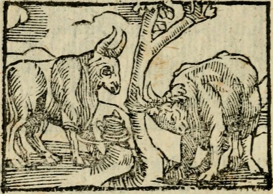 An illustration from Horou Apollonos Neiloou Hieroglyphika eklekta = Hori Apollinis Selecta hieroglyphica : imagines vero cum priuilegio, 1599, leaf 209