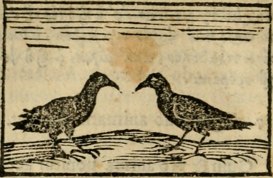 An illustration from Horou Apollonos Neiloou Hieroglyphika eklekta = Hori Apollinis Selecta hieroglyphica : imagines vero cum priuilegio, 1599, leaf 21