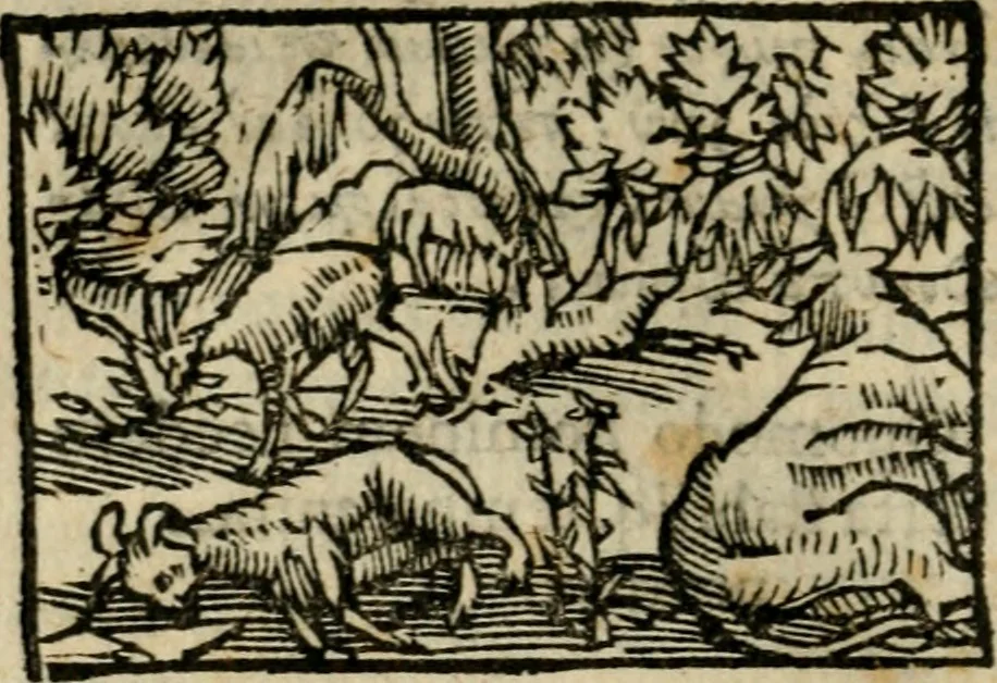 An illustration from Horou Apollonos Neiloou Hieroglyphika eklekta = Hori Apollinis Selecta hieroglyphica : imagines vero cum priuilegio, 1599, leaf 211