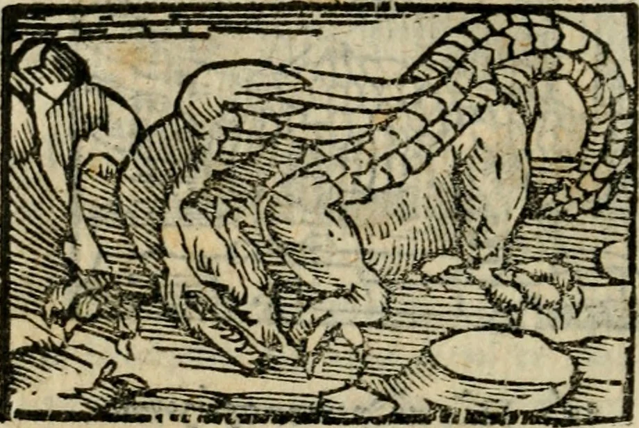 An illustration from Horou Apollonos Neiloou Hieroglyphika eklekta = Hori Apollinis Selecta hieroglyphica : imagines vero cum priuilegio, 1599, leaf 213