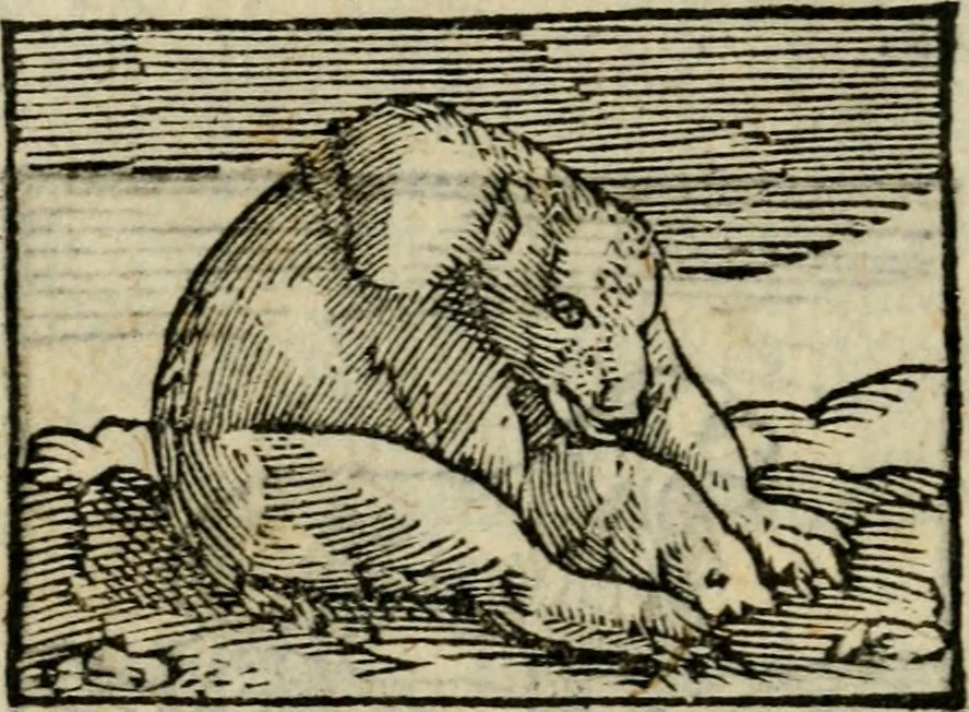 An illustration from Horou Apollonos Neiloou Hieroglyphika eklekta = Hori Apollinis Selecta hieroglyphica : imagines vero cum priuilegio, 1599, leaf 215