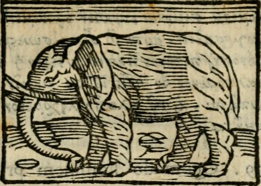 An illustration from Horou Apollonos Neiloou Hieroglyphika eklekta = Hori Apollinis Selecta hieroglyphica : imagines vero cum priuilegio, 1599, leaf 217