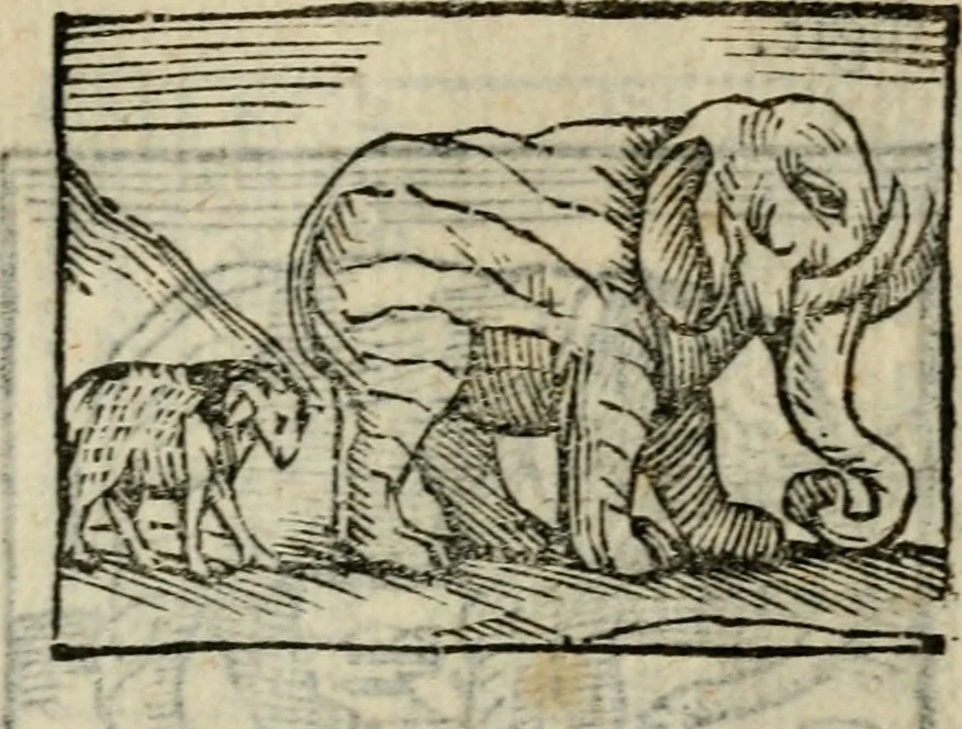 An illustration from Horou Apollonos Neiloou Hieroglyphika eklekta = Hori Apollinis Selecta hieroglyphica : imagines vero cum priuilegio, 1599, leaf 218