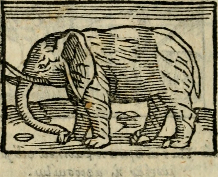 An illustration from Horou Apollonos Neiloou Hieroglyphika eklekta = Hori Apollinis Selecta hieroglyphica : imagines vero cum priuilegio, 1599, leaf 219