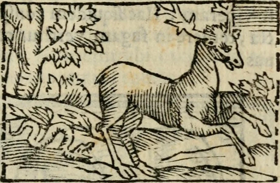 An illustration from Horou Apollonos Neiloou Hieroglyphika eklekta = Hori Apollinis Selecta hieroglyphica : imagines vero cum priuilegio, 1599, leaf 220