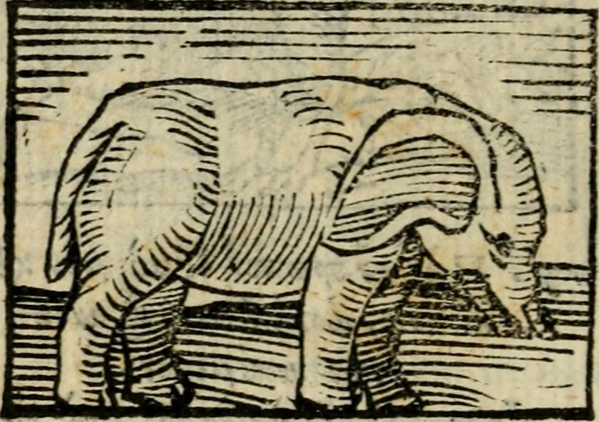 An illustration from Horou Apollonos Neiloou Hieroglyphika eklekta = Hori Apollinis Selecta hieroglyphica : imagines vero cum priuilegio, 1599, leaf 221