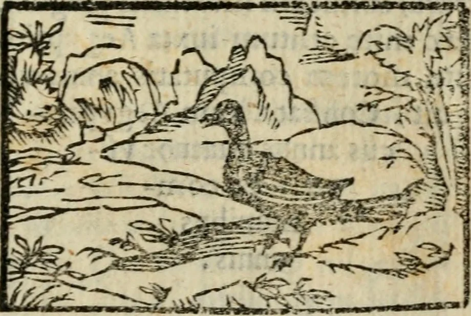 An illustration from Horou Apollonos Neiloou Hieroglyphika eklekta = Hori Apollinis Selecta hieroglyphica : imagines vero cum priuilegio, 1599, leaf 222