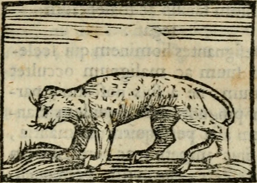 An illustration from Horou Apollonos Neiloou Hieroglyphika eklekta = Hori Apollinis Selecta hieroglyphica : imagines vero cum priuilegio, 1599, leaf 224