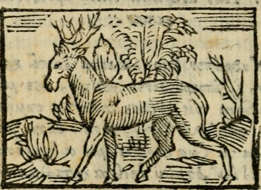 An illustration from Horou Apollonos Neiloou Hieroglyphika eklekta = Hori Apollinis Selecta hieroglyphica : imagines vero cum priuilegio, 1599, leaf 225