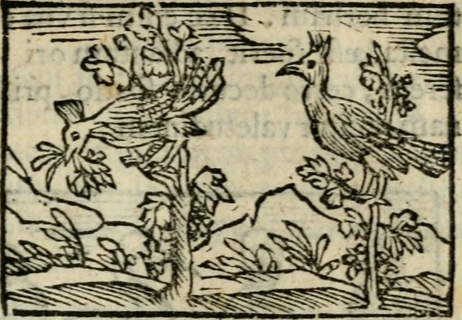 An illustration from Horou Apollonos Neiloou Hieroglyphika eklekta = Hori Apollinis Selecta hieroglyphica : imagines vero cum priuilegio, 1599, leaf 228