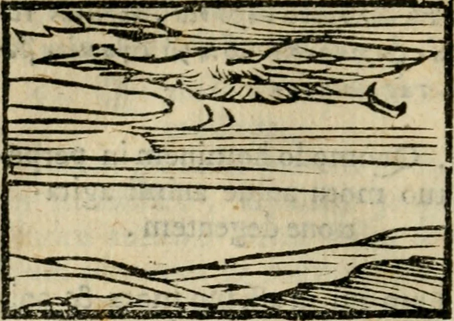 An illustration from Horou Apollonos Neiloou Hieroglyphika eklekta = Hori Apollinis Selecta hieroglyphica : imagines vero cum priuilegio, 1599, leaf 233
