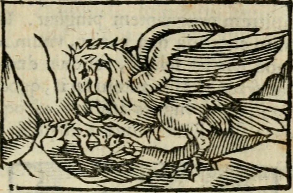 An illustration from Horou Apollonos Neiloou Hieroglyphika eklekta = Hori Apollinis Selecta hieroglyphica : imagines vero cum priuilegio, 1599, leaf 234