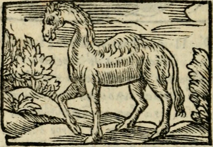 An illustration from Horou Apollonos Neiloou Hieroglyphika eklekta = Hori Apollinis Selecta hieroglyphica : imagines vero cum priuilegio, 1599, leaf 235