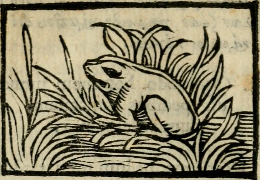 An illustration from Horou Apollonos Neiloou Hieroglyphika eklekta = Hori Apollinis Selecta hieroglyphica : imagines vero cum priuilegio, 1599, leaf 237
