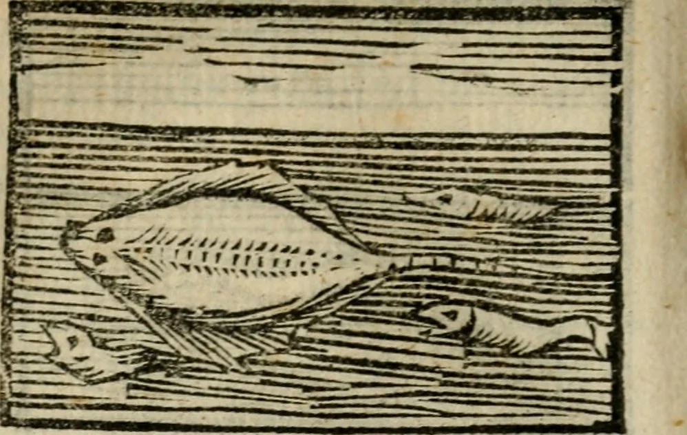 An illustration from Horou Apollonos Neiloou Hieroglyphika eklekta = Hori Apollinis Selecta hieroglyphica : imagines vero cum priuilegio, 1599, leaf 241