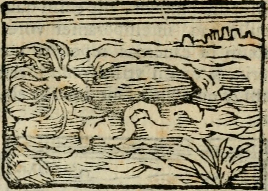 An illustration from Horou Apollonos Neiloou Hieroglyphika eklekta = Hori Apollinis Selecta hieroglyphica : imagines vero cum priuilegio, 1599, leaf 242