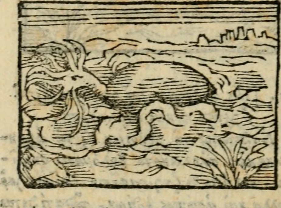 An illustration from Horou Apollonos Neiloou Hieroglyphika eklekta = Hori Apollinis Selecta hieroglyphica : imagines vero cum priuilegio, 1599, leaf 243
